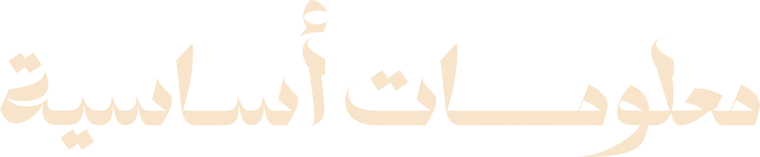 معلومات أساسية