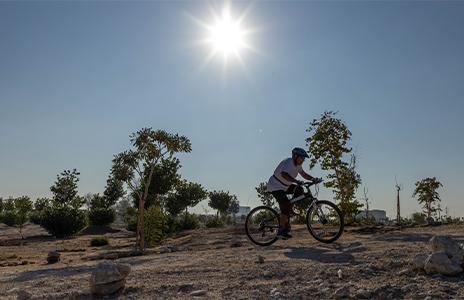 Education City Mountain Bike Trail